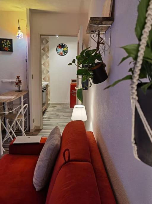 Cosy T1Bis Proche Centreville, Petit Port, Audencia Nantes Esterno foto